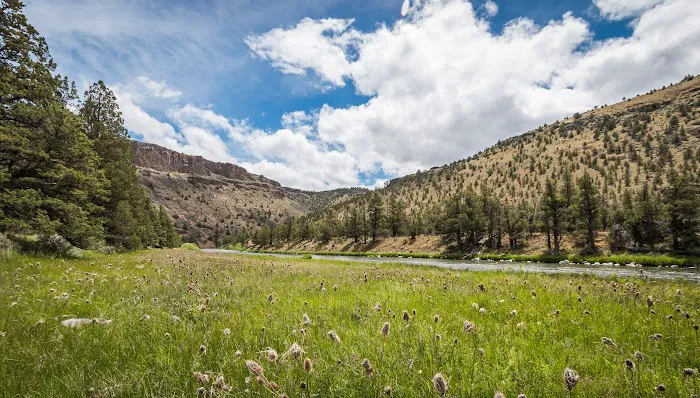 Post Pile Campground Picture 6