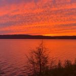 Cypress Shores Campground and rv park llc