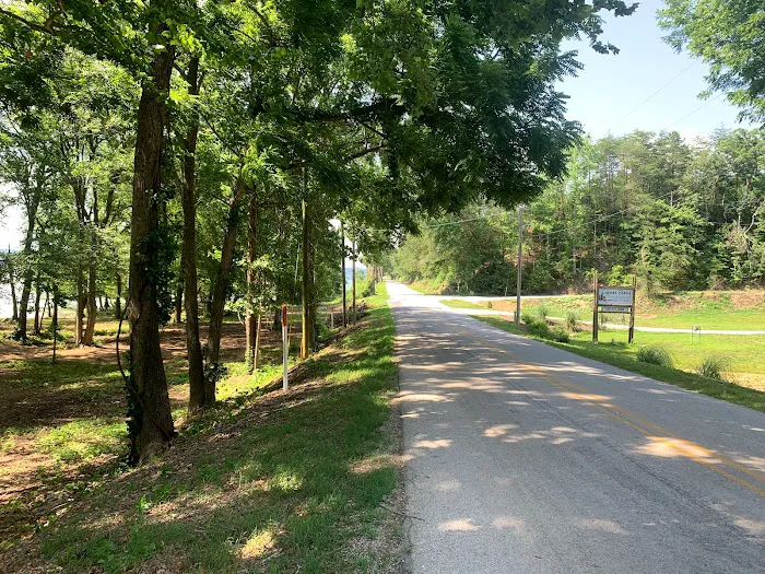 Cypress Shores Campground and rv park llc Picture 2