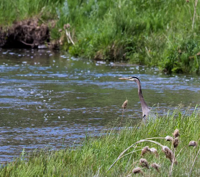 Chimney Rock Campground Picture 3
