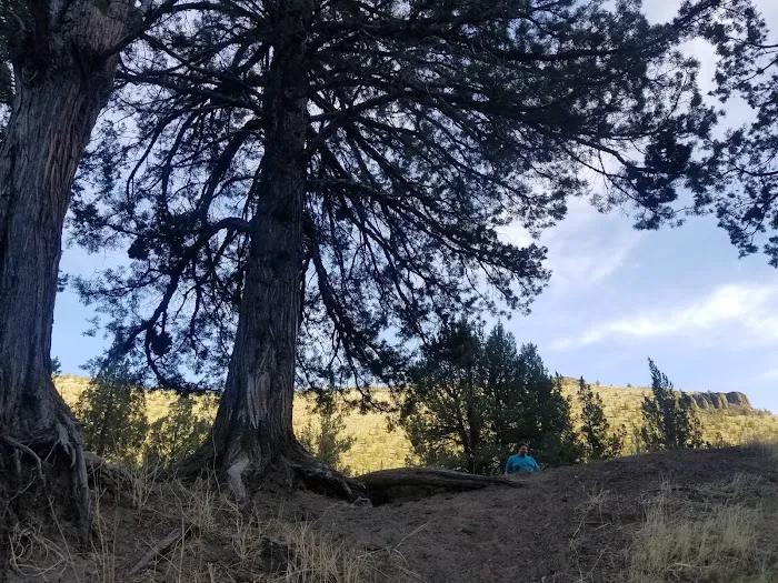 Stillwater Campground Picture 7