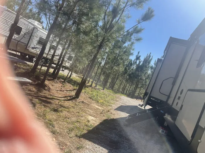 Timberland Trails Resort Picture 2