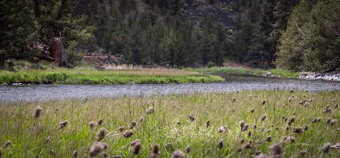 Lone Pine Campground Picture 4