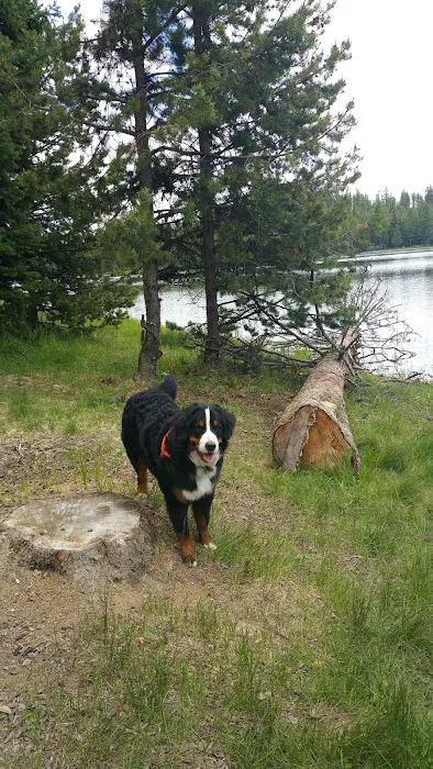 Penland Lake Campground Picture 1