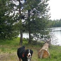 Penland Lake Campground ico