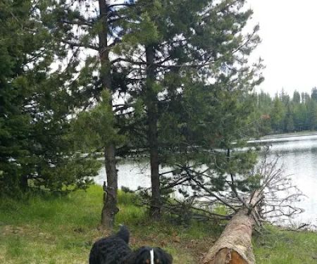 Penland Lake Campground