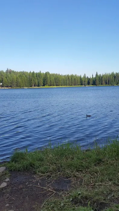 Penland Lake Campground Picture 3