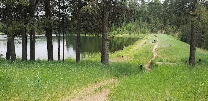 Penland Lake Campground Picture 7