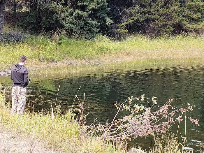 Penland Lake Campground Picture 9