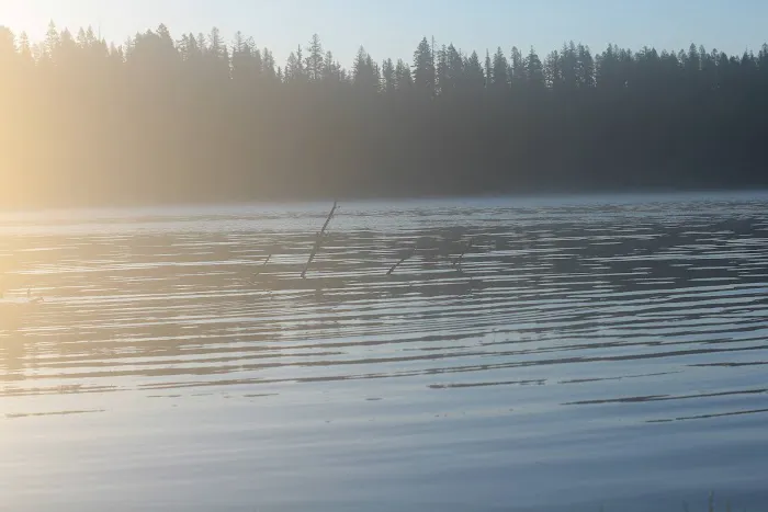 Penland Lake Campground Picture 4
