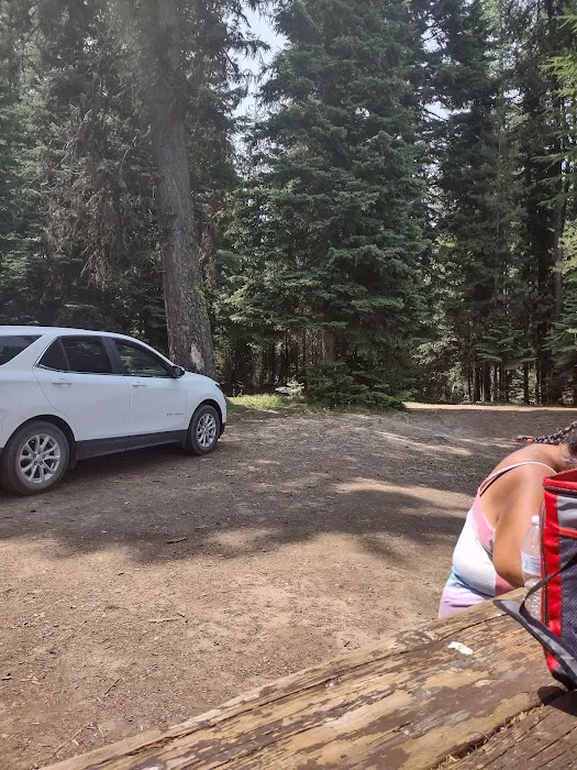 Penland Lake Campground Picture 10