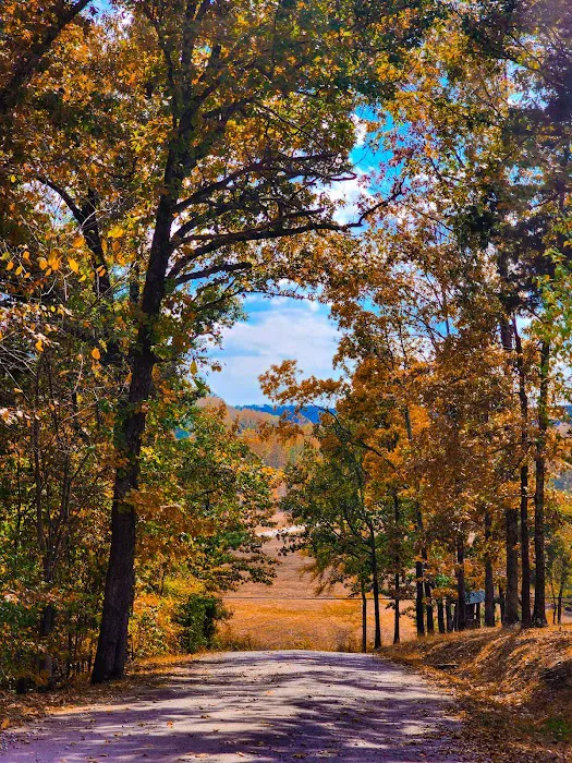 I 40 Hideaway Picture 1