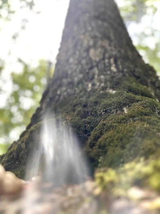 I 40 Hideaway Picture 10