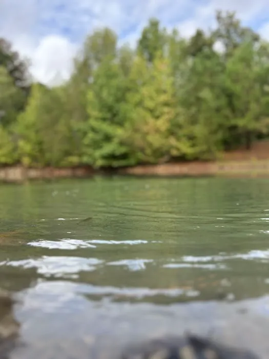 I 40 Hideaway Picture 7