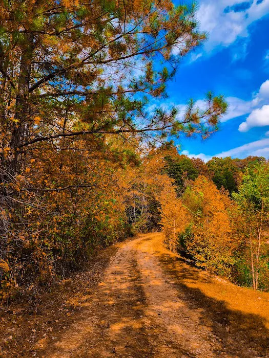 I 40 Hideaway Picture 9