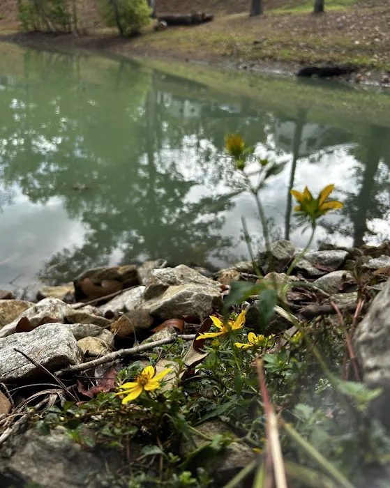 I 40 Hideaway Picture 6