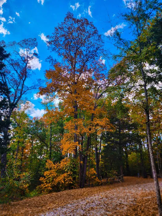 I 40 Hideaway Picture 5