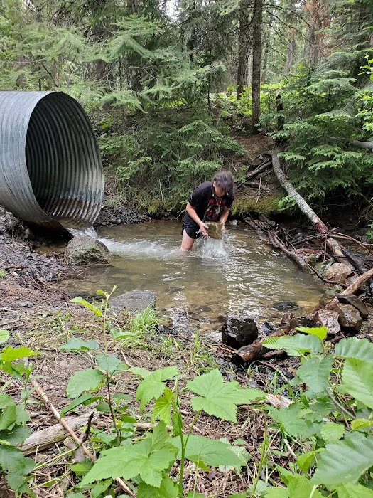 Cutsforth Campground Picture 2