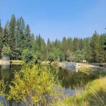 Cutsforth Campground