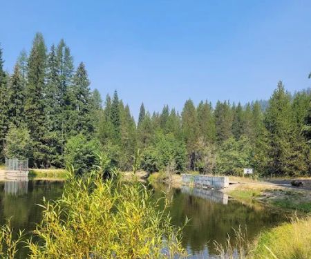 Cutsforth Campground