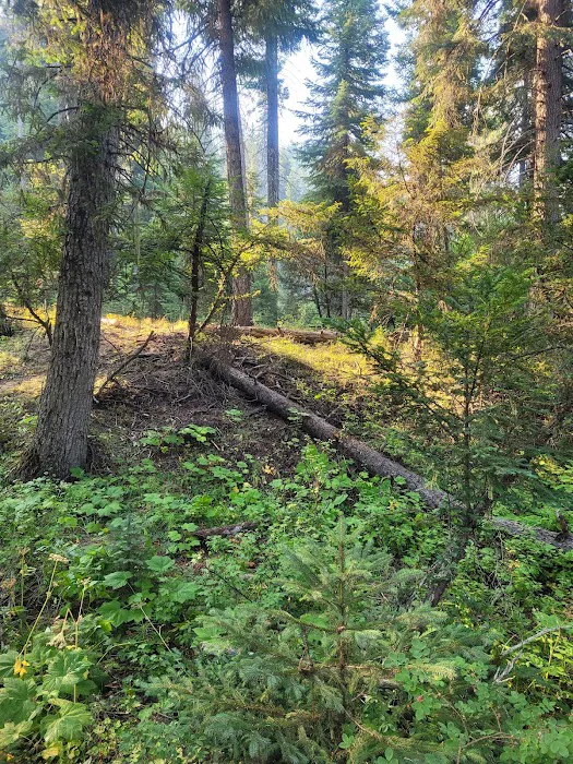 Cutsforth Campground Picture 4