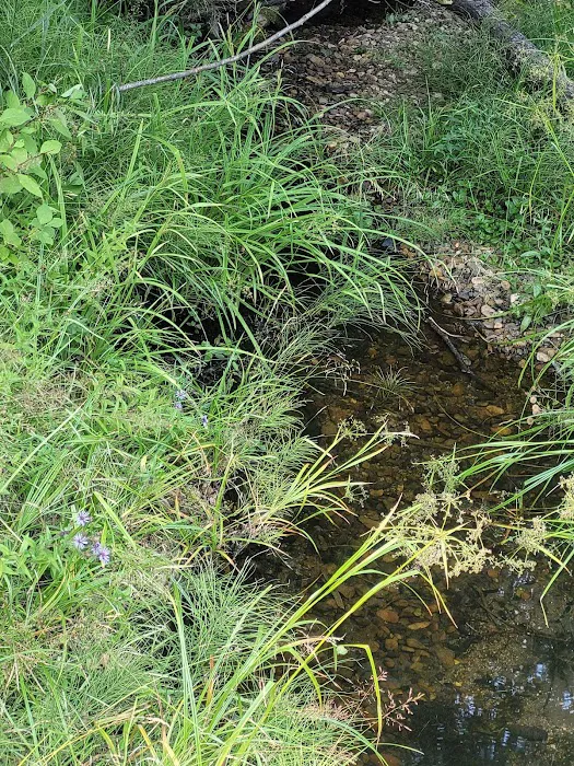 Cutsforth Campground Picture 9