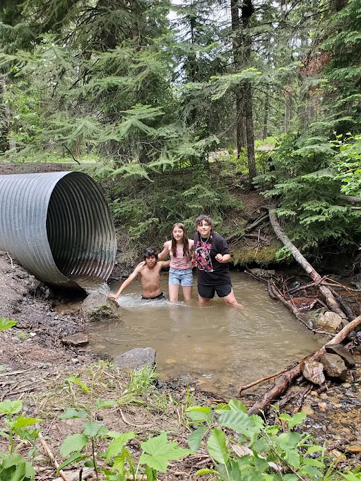 Cutsforth Campground Picture 8