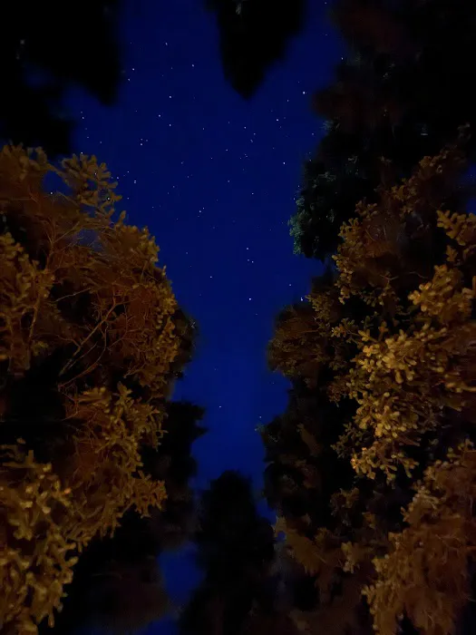 Cutsforth Campground Picture 10