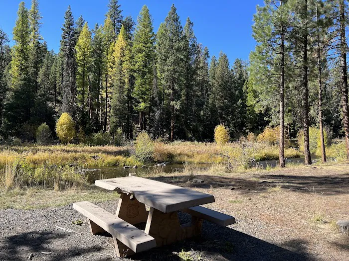 North Fork Malheur Campground Picture 1