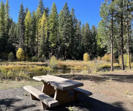 North Fork Malheur Campground