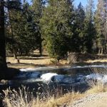 Little Crane Campground