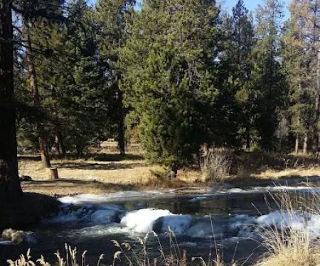 Little Crane Campground