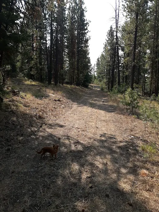 Little Crane Campground Picture 6