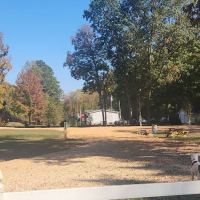 Black Walnut Rv Camping ico