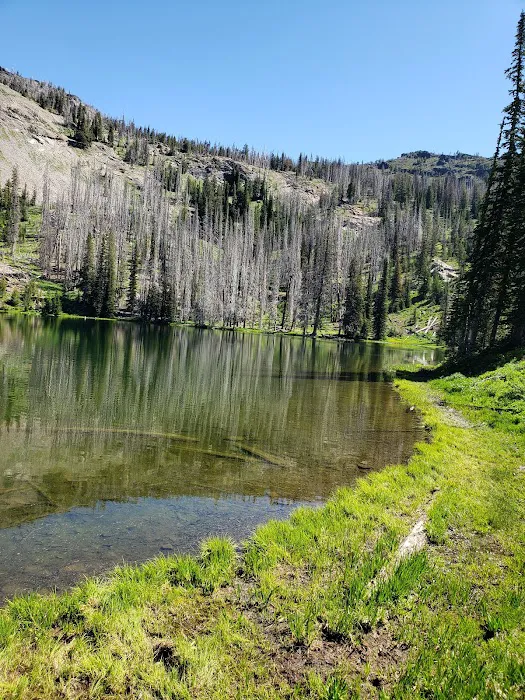 Indian Springs Campground Picture 2