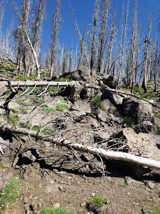 Indian Springs Campground Picture 4