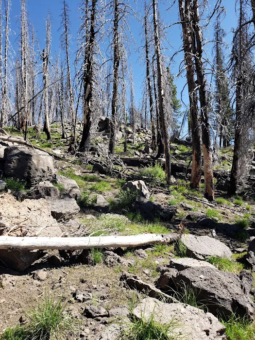 Indian Springs Campground Picture 1