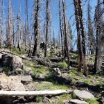 Indian Springs Campground