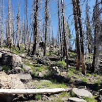 Indian Springs Campground ico