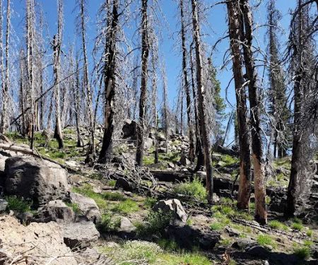 Indian Springs Campground