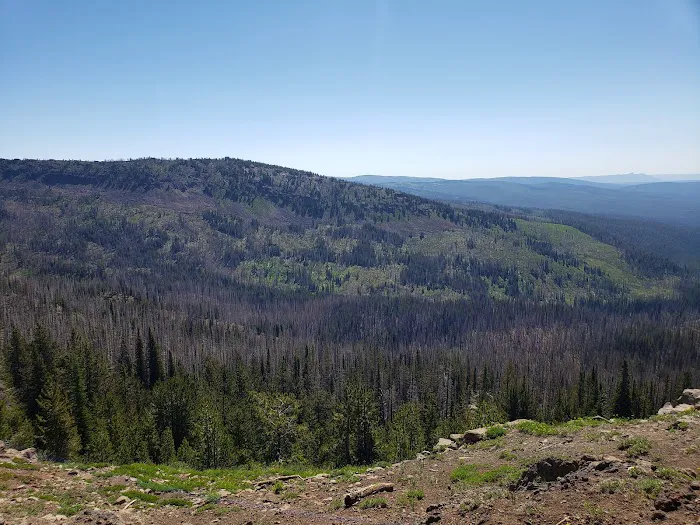 Indian Springs Campground Picture 5