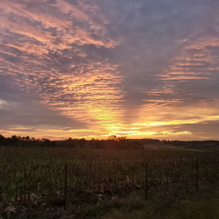 Green Acres RV Park Picture 5