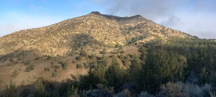 Hunter Campground Picture 2