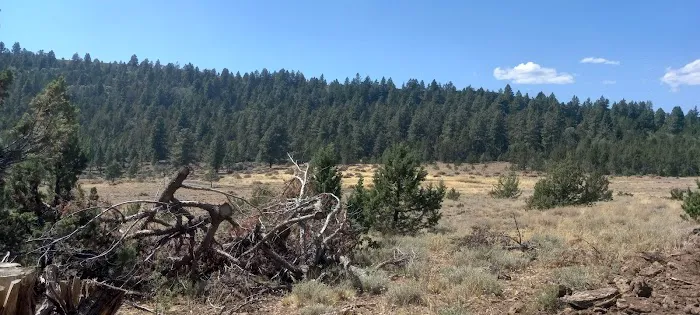 Hunter Campground Picture 3