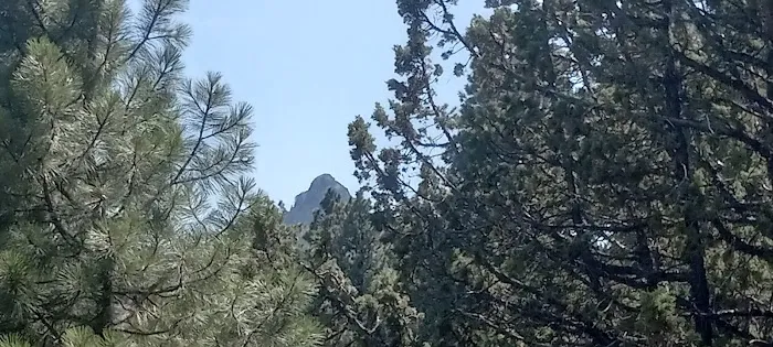 Hunter Campground Picture 4