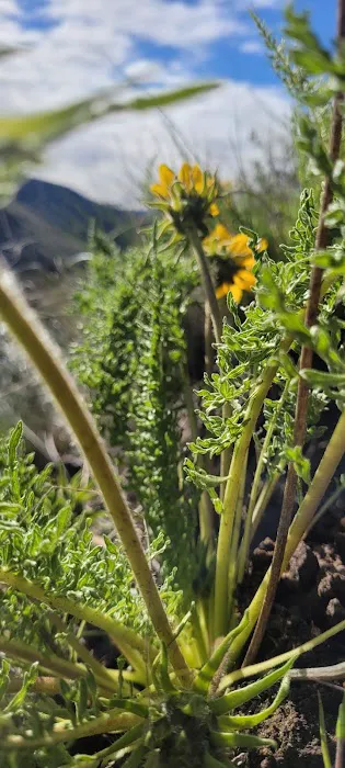 Chukar Park Recreation Site Picture 1