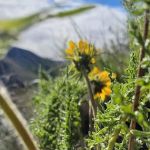 Chukar Park Recreation Site