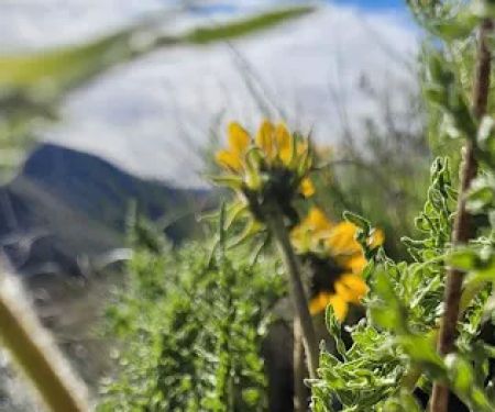 Chukar Park Recreation Site