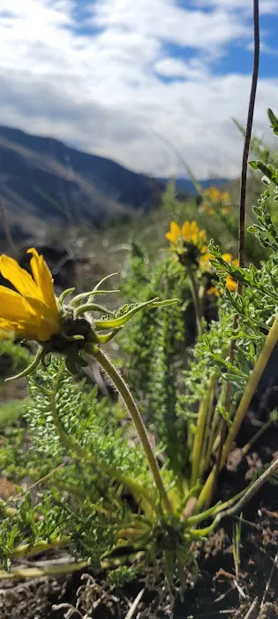 Chukar Park Recreation Site Picture 7