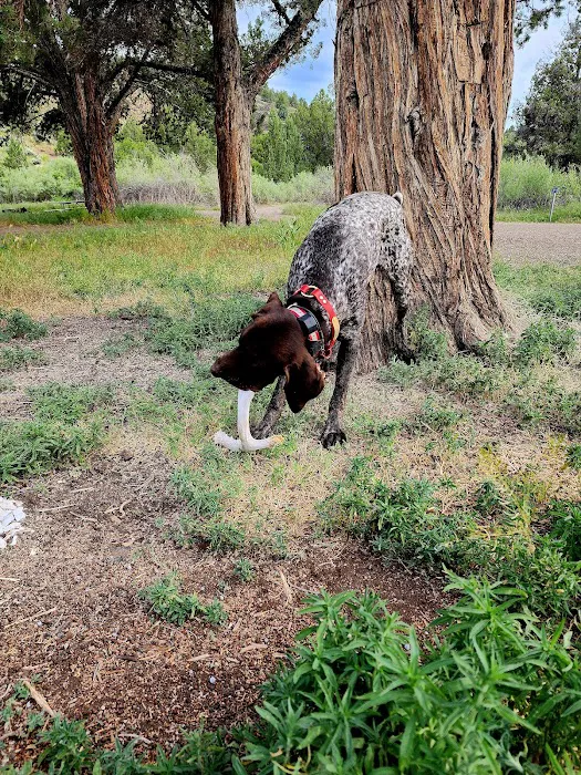 Chukar Park Recreation Site Picture 5